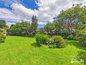 Garden- click for photo gallery
